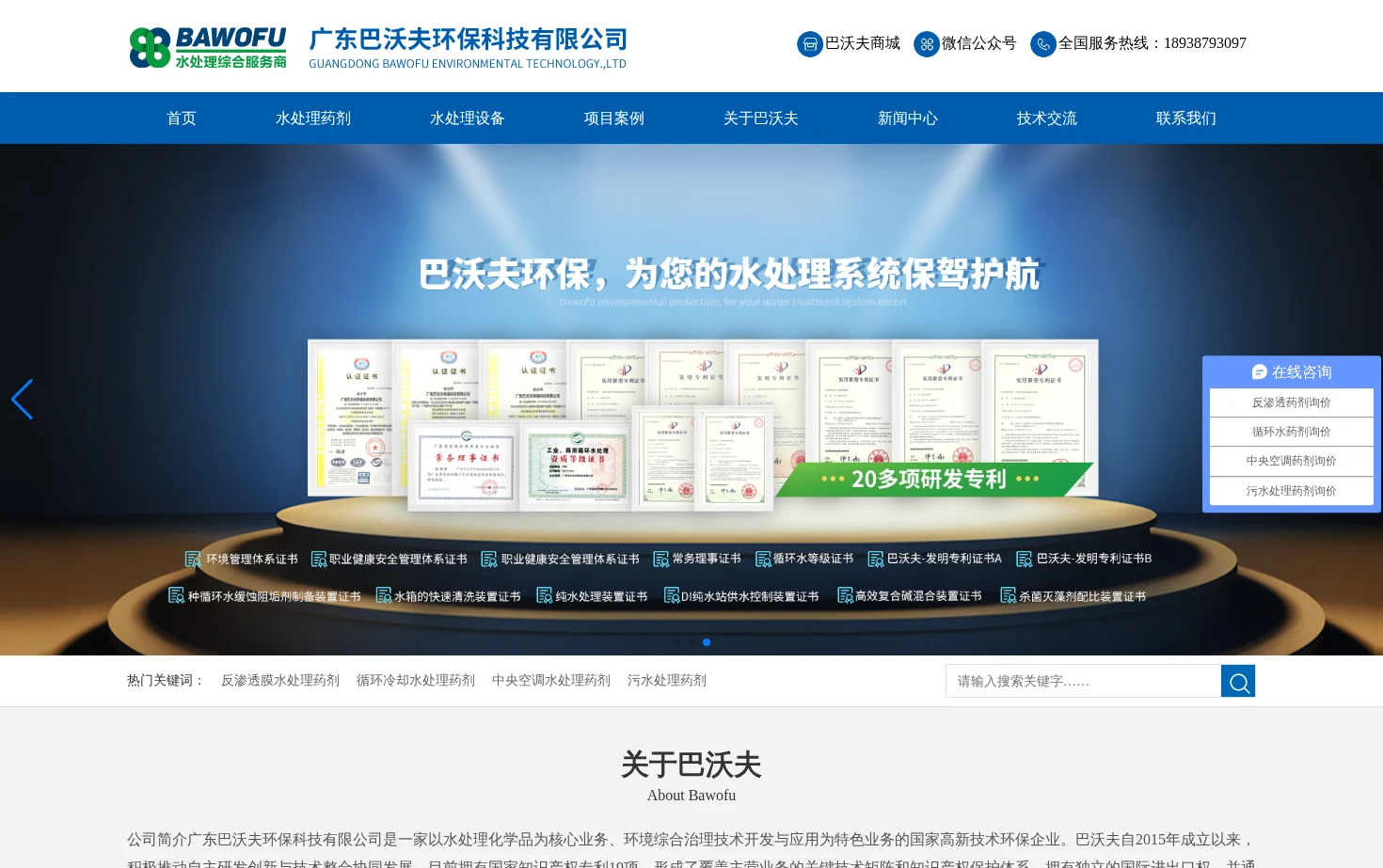 广东巴沃夫环保科技有限公司 页面快照
